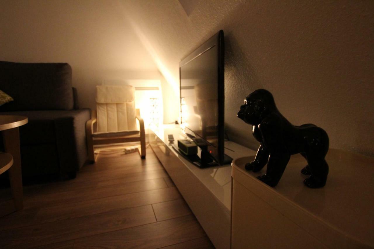 Colmar City Center - Appartement Belle-Vue 4 Etoiles Ngoại thất bức ảnh